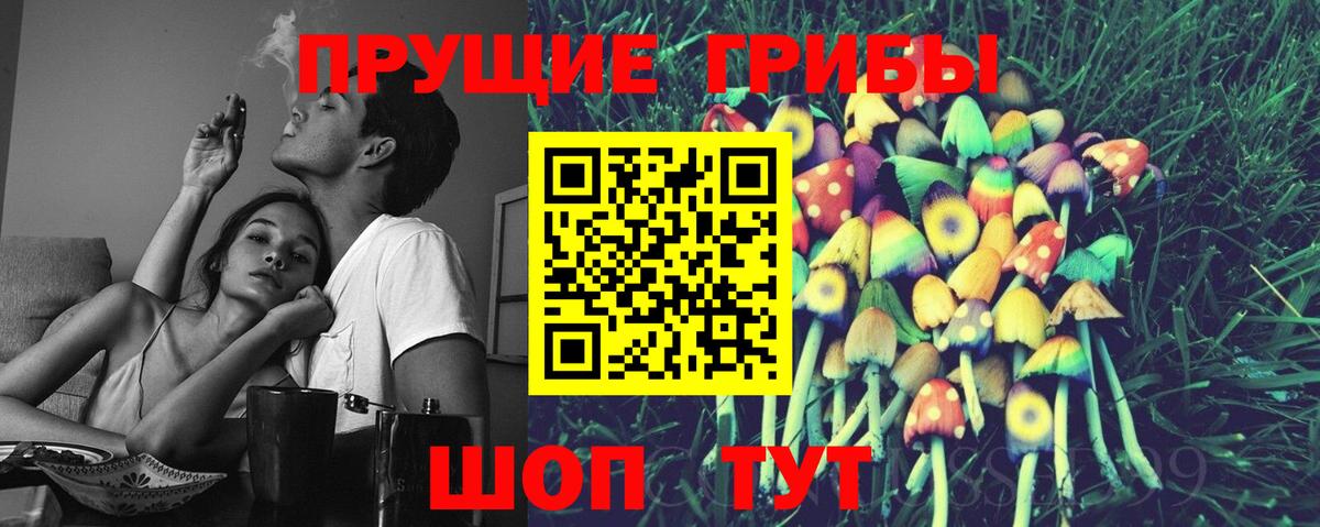 Псилоцибиновые грибы мицелий  Псилоцибиновые грибы GOLDEN TEACHER  Вход с VPN  Дальнереченск 